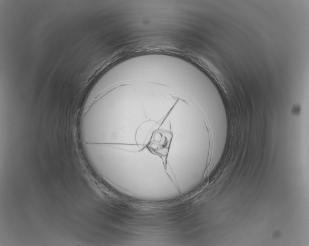 X0000116810405201001291605