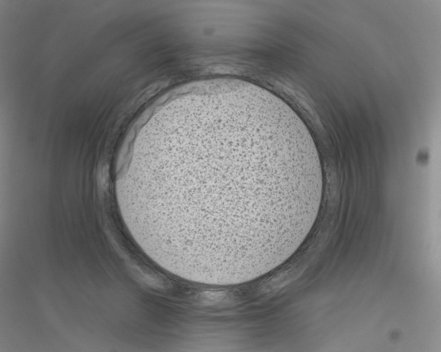 X0000116810406201001291605