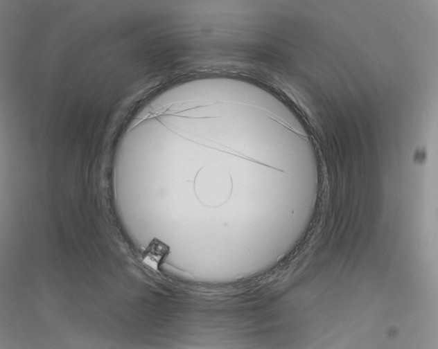 X0000116810407201001291605