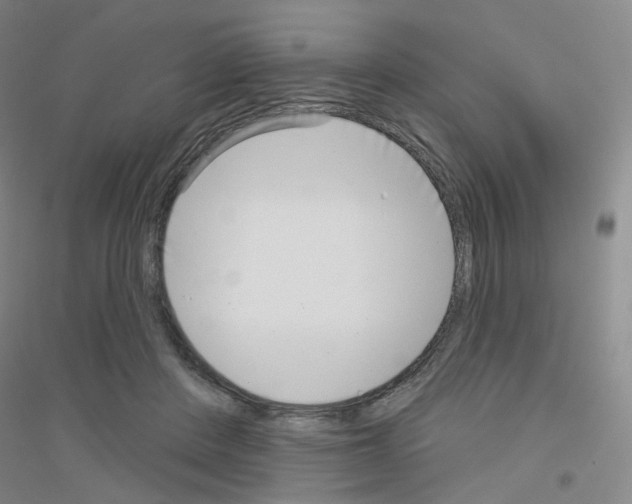 X0000116810408201001291605