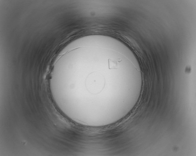 X0000116810409201001291605