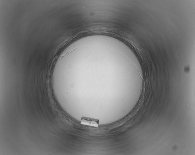 X0000116810411201001291605