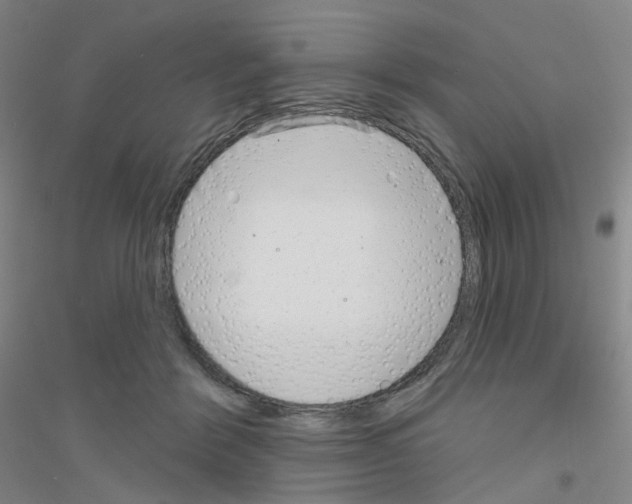 X0000116810412201001291605