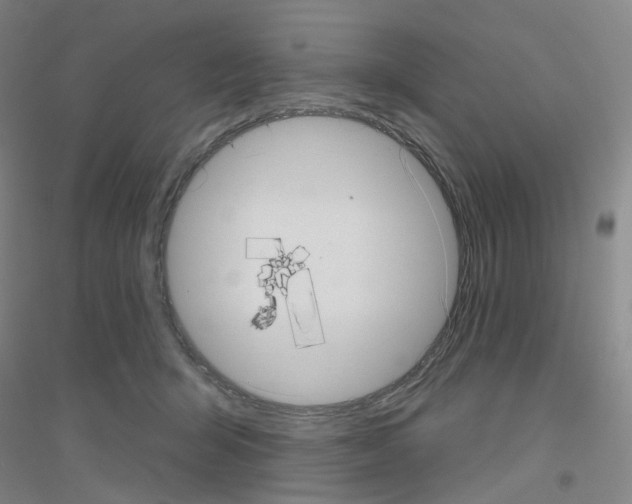 X0000116810415201001291605