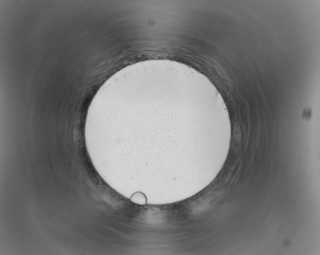 X0000116810416201001291605
