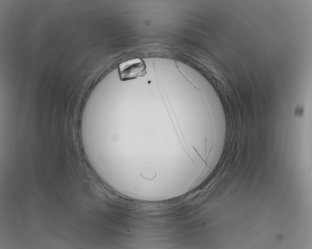 X0000116810417201001291605