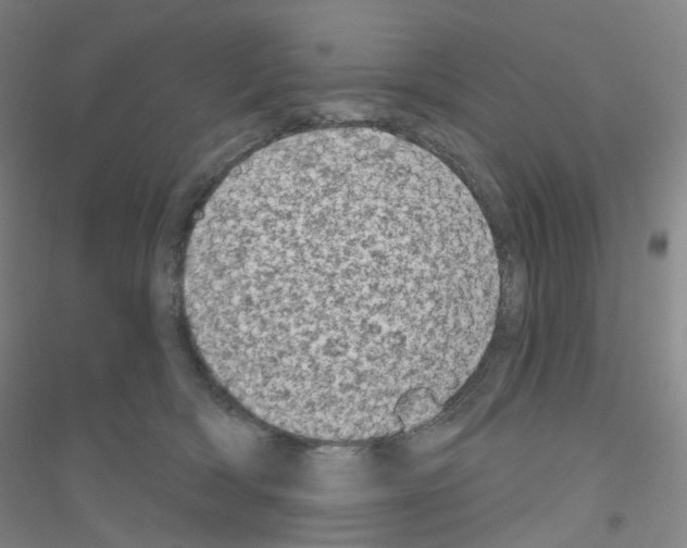 X0000116810418201001291605