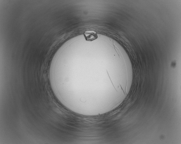 X0000116810419201001291605