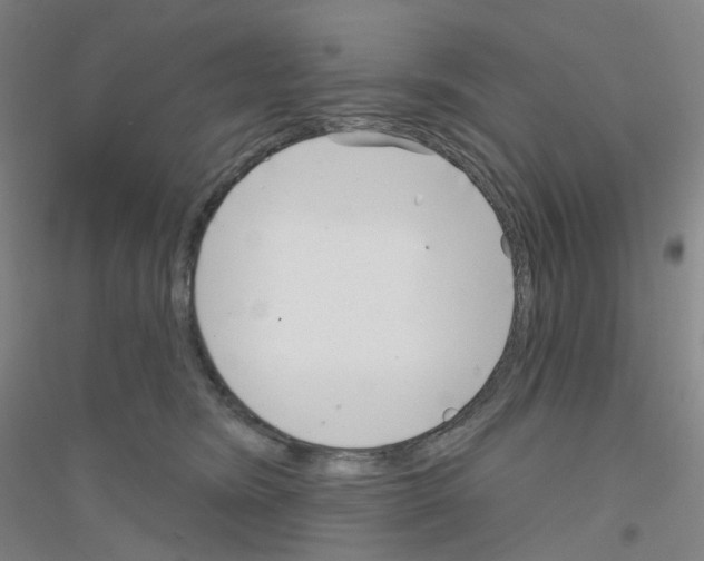 X0000116810420201001291605