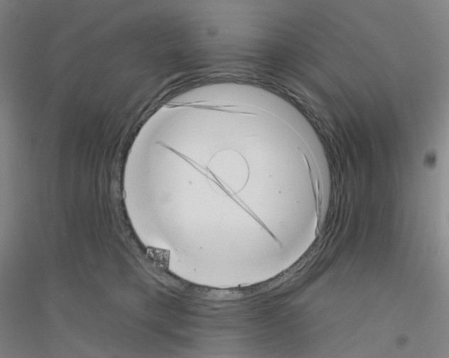 X0000116810421201001291605