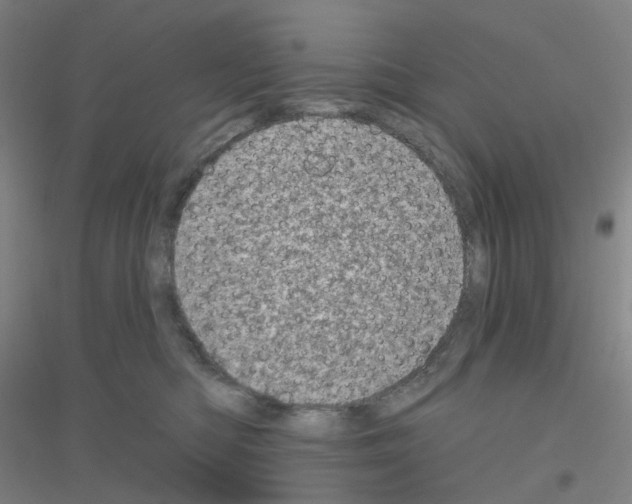 X0000116810422201001291605