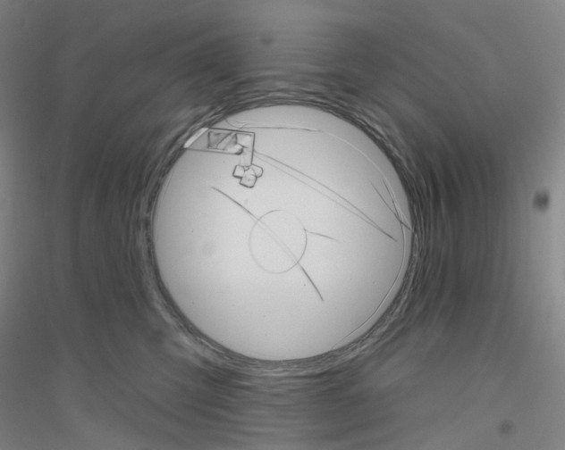 X0000116810423201001291605
