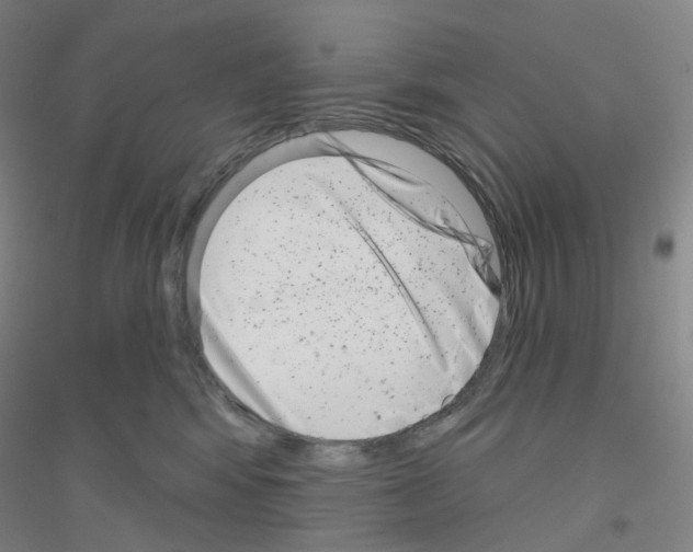 X0000116810424201001291605
