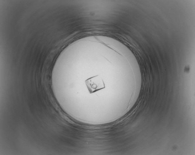 X0000116810425201001291605
