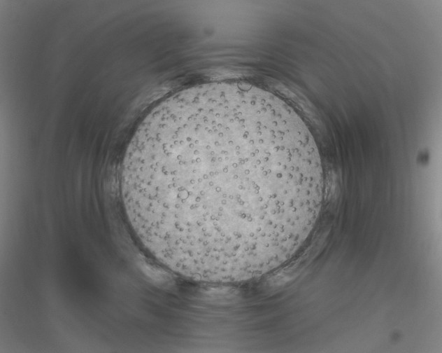 X0000116810426201001291605