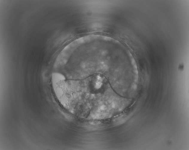 X0000116810427201001291605