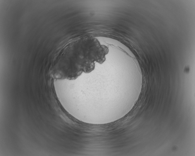 X0000116810428201001291605
