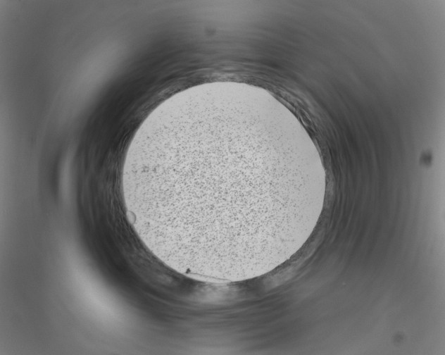 X0000116810429201001291605