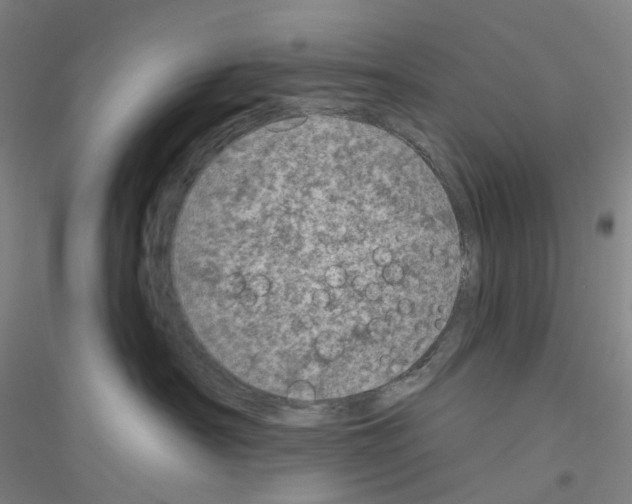 X0000116810430201001291605