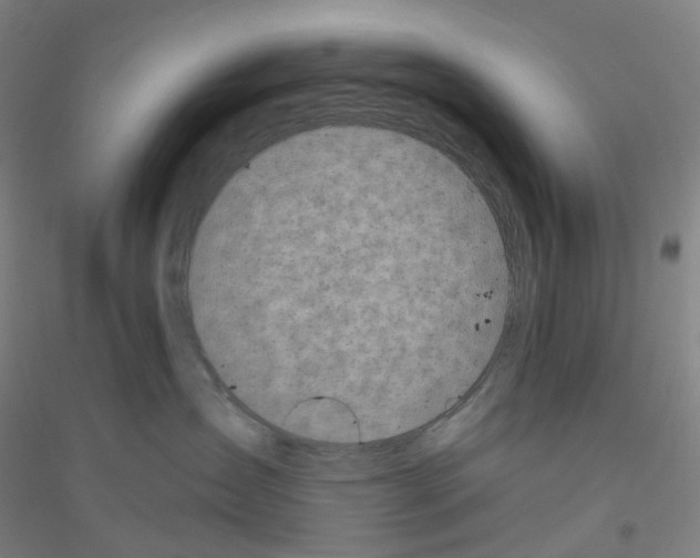 X0000116810431201001291605