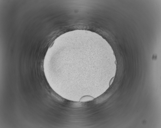 X0000116810432201001291605