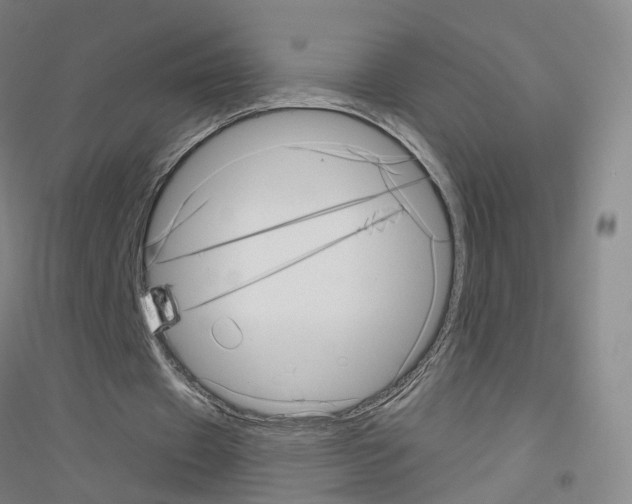 X0000116810433201001291604