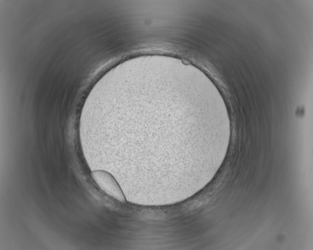 X0000116810434201001291604