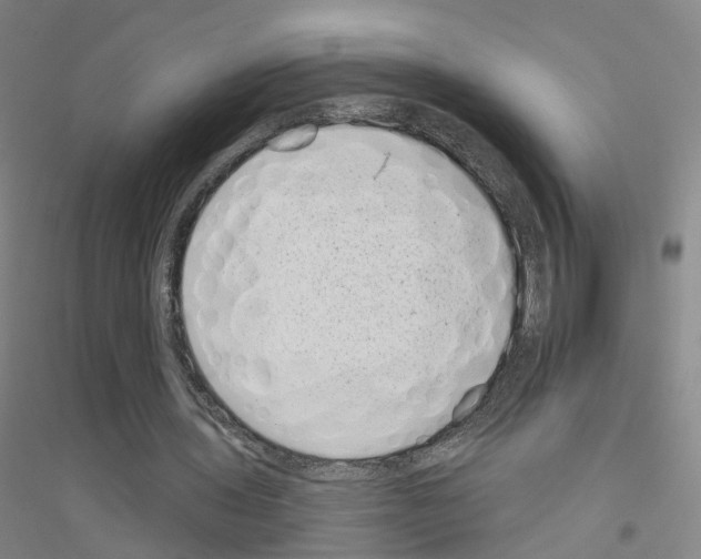X0000116810435201001291604