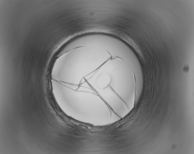 X0000116810436201001291604