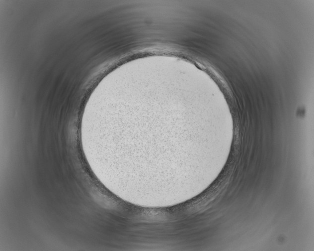 X0000116810437201001291604
