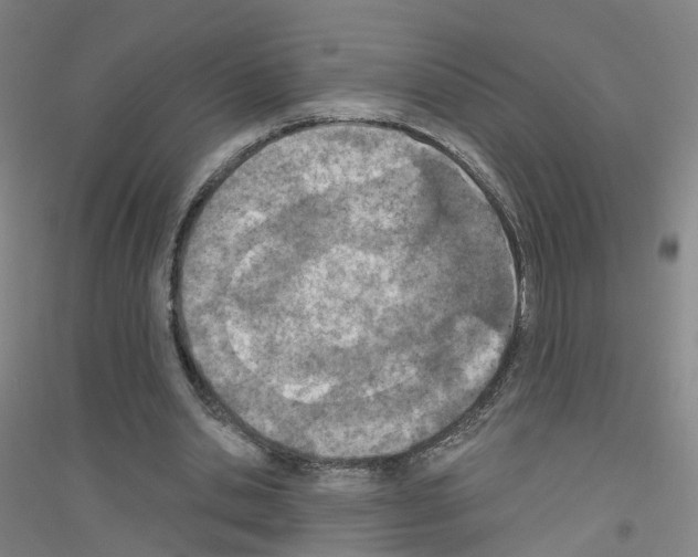 X0000116810438201001291604