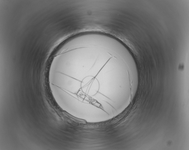 X0000116810440201001291604