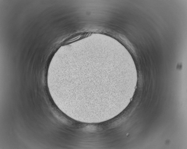 X0000116810441201001291604