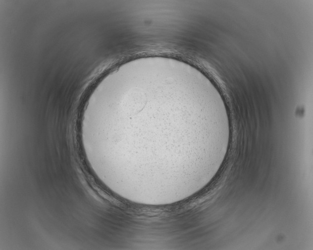 X0000116810443201001291604