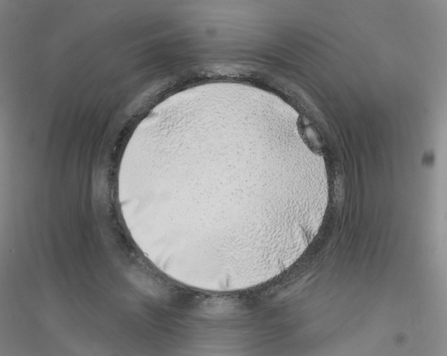 X0000116810444201001291604
