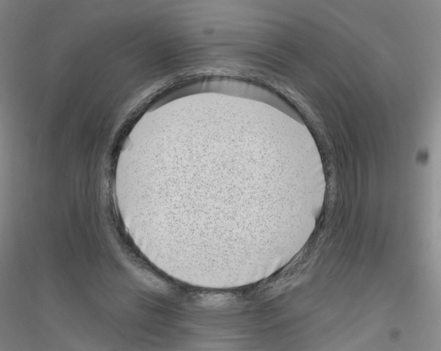 X0000116810446201001291604