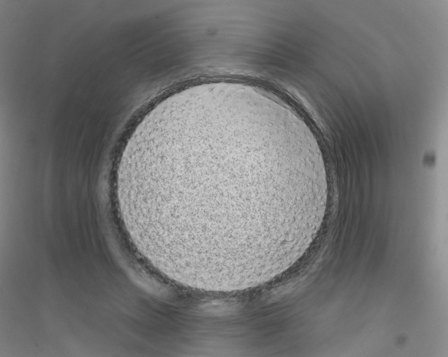 X0000116810447201001291604