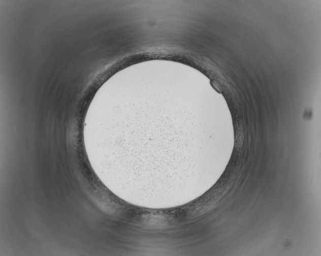 X0000116810448201001291604