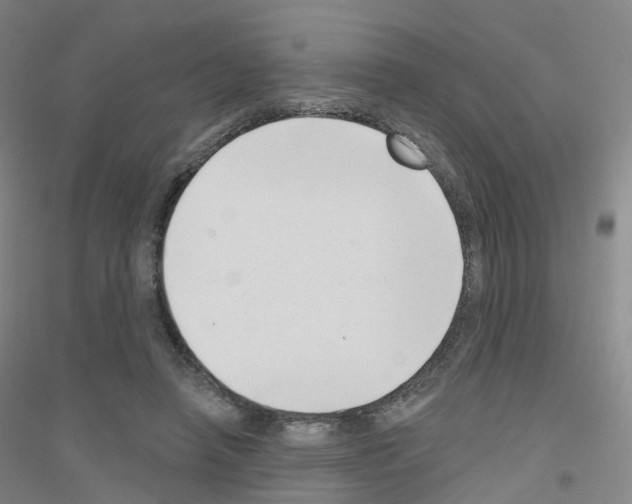 X0000116810450201001291605