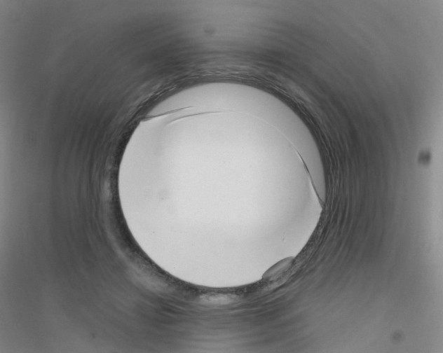 X0000116810452201001291605