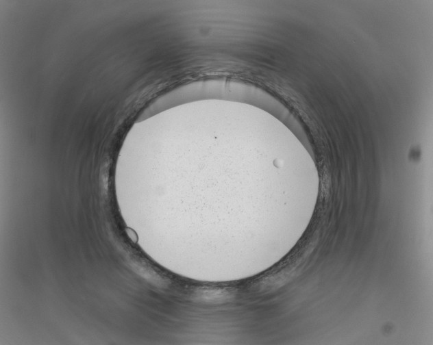 X0000116810454201001291605