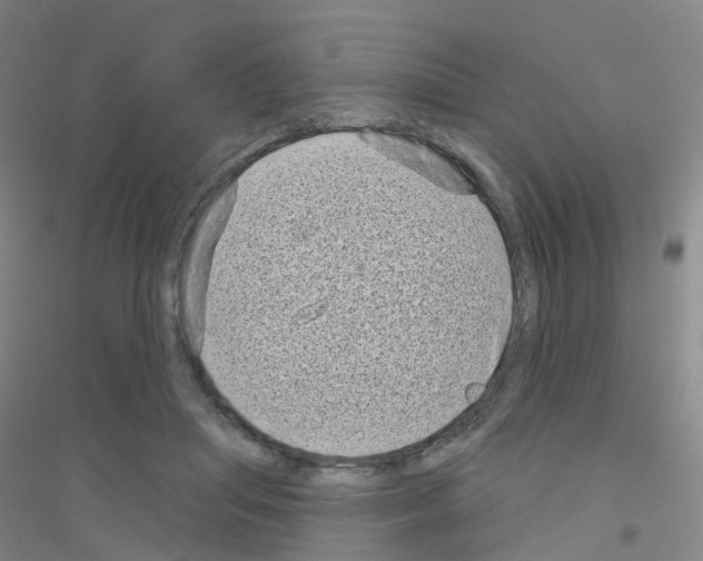 X0000116810455201001291605