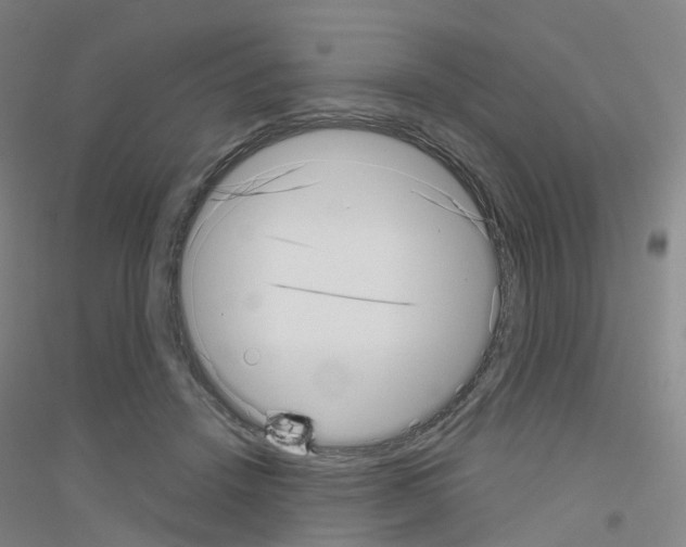 X0000116810456201001291605