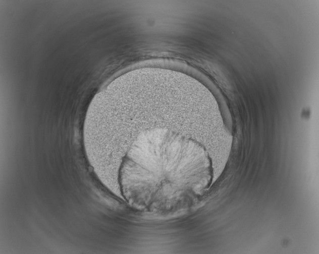 X0000116810457201001291605
