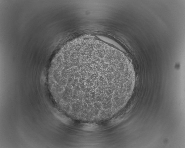 X0000116810458201001291605