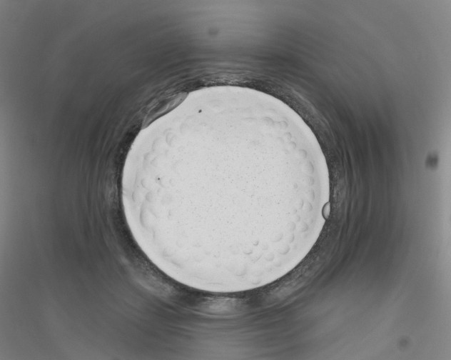 X0000116810459201001291605