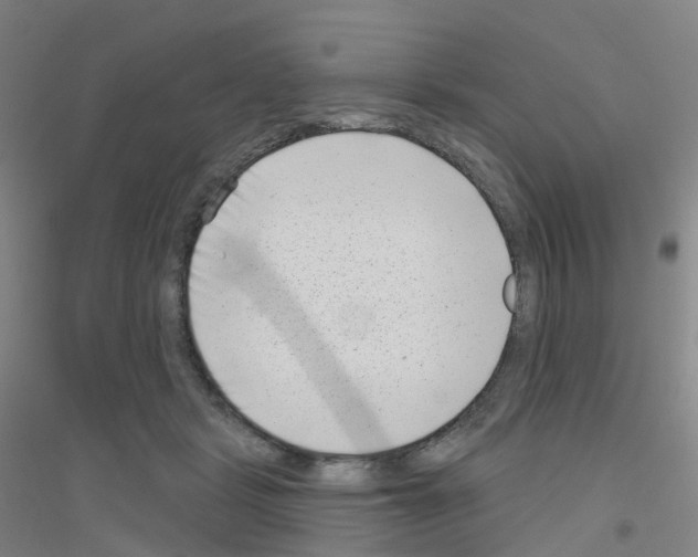 X0000116810461201001291605