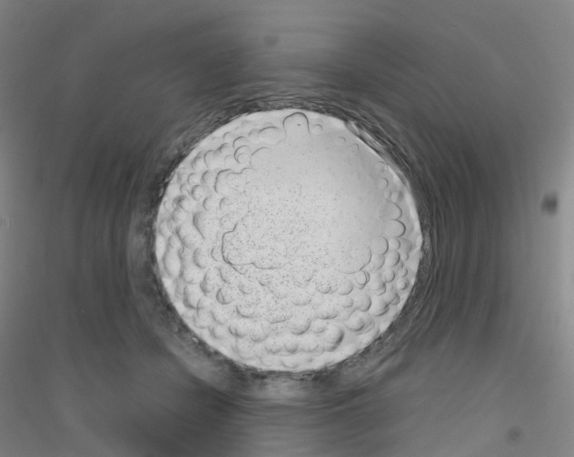 X0000116810462201001291605
