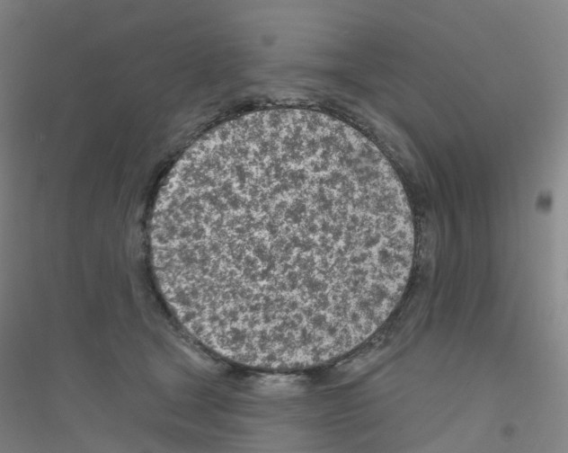X0000116810465201001291605