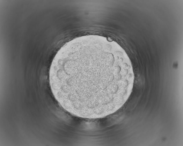 X0000116810466201001291605